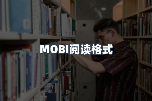 外文电子书系列